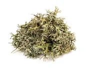 Pasze dla zwierząt - Porost islandzki EQUIHERBS 500g - miniaturka - grafika 1