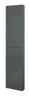 Szafki łazienkowe - Elita 168327 SłUPEK FOR ALL 40 2D 12,6) ANTHRACITE HG PDW - miniaturka - grafika 1