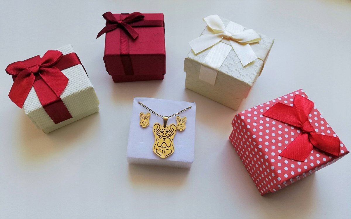 Naszyjnik + Kolczyki + Pudełko Buldog Pies Stal