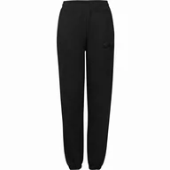 Spodnie sportowe damskie - Damskie spodnie dresowe FILA BANDIRMA high waist sweat pants - miniaturka - grafika 1