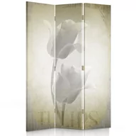 Parawany - Parawan pokojowy FEEBY, Białe tulipany, Dwustronny 110x170cm 3-częściowy - miniaturka - grafika 1