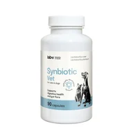 Suplementy i witaminy dla psów - LAB-V Synbiotic Vet – Wsparcie zdrowia układu pokarmowego i mikroflory jelitowej dla psów i kotów 90 kapsułek - miniaturka - grafika 1