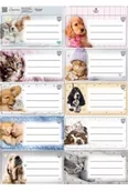 Etykiety samoprzylepne i bloki etykiet - Naklejki na zeszyty pasek The Sweet Pets kids - miniaturka - grafika 1