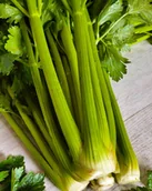 Nasiona i cebule - Seler naciowy Plein blanc Pascal nasiona - miniaturka - grafika 1