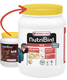 VERSELE-LAGA NutriBird A19 - do ręcznego karmienia piskląt - Karma dla ptaków - miniaturka - grafika 1