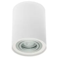 Lampy sufitowe - Oprawa sufitowa IVO 1W/AL. tuba biała aluminium OZZO - miniaturka - grafika 1