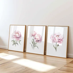 Pastelowe Różowe Piwonie - Zestaw trzech grafik botanicznych - Obrazy i zdjęcia na płótnie - miniaturka - grafika 1