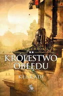 E-booki - fantastyka i horror - Królestwo obłędu. Kroniki mroku. Tom 2 - miniaturka - grafika 1