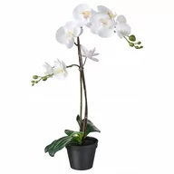 Sztuczne kwiaty - IKEA FEJKA ORCHIDEA wielki BIAŁY STORCZYK 58cm - miniaturka - grafika 1