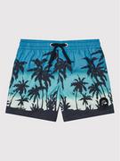 Kąpielówki dla chłopców - Quiksilver Szorty kąpielowe Everyday Paradise 14" EQBJV03390 Niebieski Regular Fit - miniaturka - grafika 1