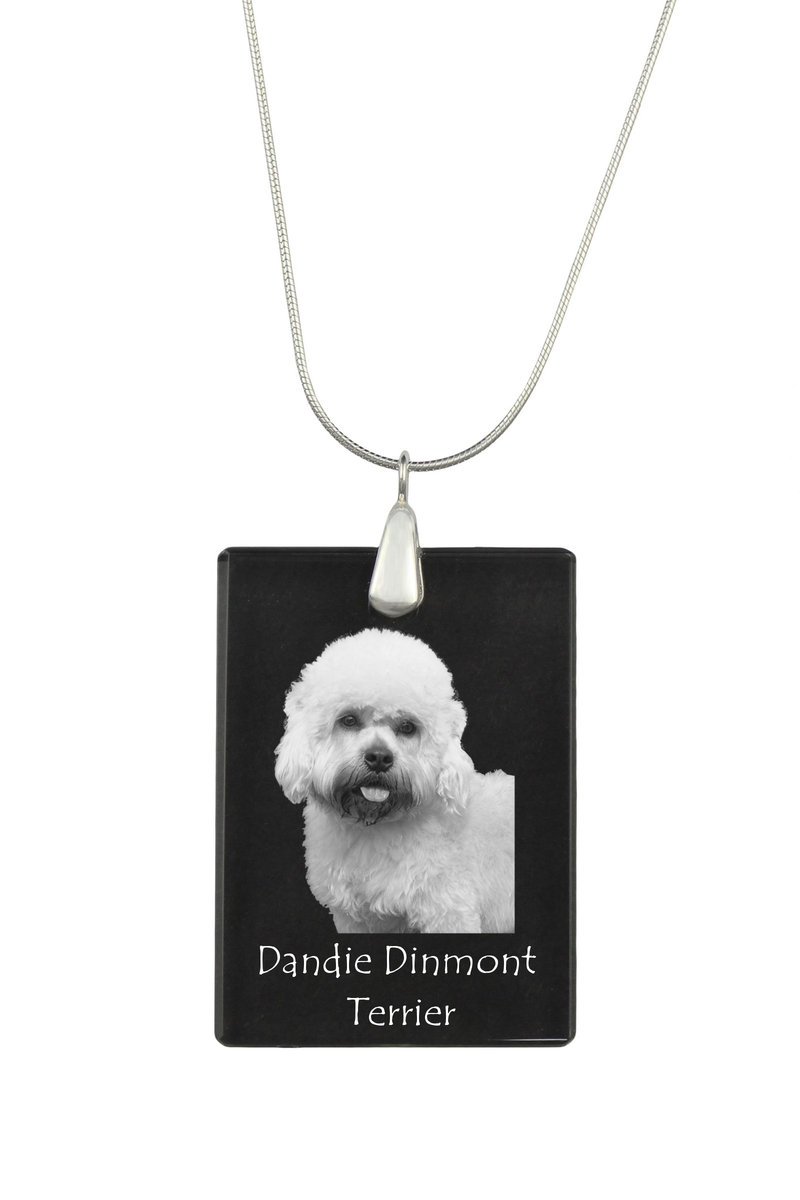 Dandie Dinmont Terrier - kryształowa zawieszka z psem, srebrny naszyjnik ze zdjęciem, personalizowany wisiorek marki Art-Dog