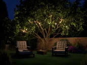 Lampy ogrodowe - Lampy Paulmann Girlanda ogrodowa Plug&Shine jako ozdoba tarasu - miniaturka - grafika 1
