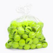 Tenis ziemny - Piłki tenisowe HEAD 72B Reset Polybag 72 szt. - miniaturka - grafika 1