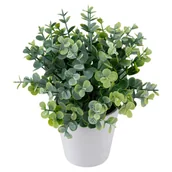 Sztuczne kwiaty - Eukaliptus sztuczny w doniczce 23 cm - miniaturka - grafika 1