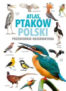 Atlas ptaków Polski - Magdalena Janiszewska, Radosław Włodarczyk - Atlasy i mapy - miniaturka - grafika 1