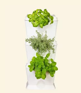 Minigarden MiniGarden One Set White MGONESET1WH - Systemy inteligentnych domów - miniaturka - grafika 1