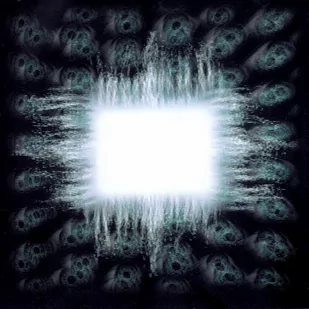 Tool Aenima - Metal, Punk - miniaturka - grafika 1