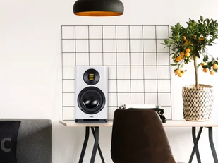 ELAC Solano BS283.2 - Głośniki i kolumny - miniaturka - grafika 7
