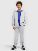Spodnie i spodenki dla chłopców - 4F Spodnie dresowe joggery chłopięce - szare 146 (10-11 lat) - miniaturka - grafika 1