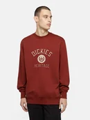 Bluzy męskie - felpa uomo dickies oxford sweat - dk0a4yen g041 - miniaturka - grafika 1