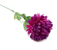 Sztuczne kwiaty - Chryzantema Sztuczna Fioletowa Duża Pojedyncza Długa Gałązka 70Cm - miniaturka - grafika 1