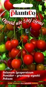 Nasiona i cebule - NASIONA Pomidor Gruntowy Wysoki Pokusa 0,5g PLANTICO 405257 - miniaturka - grafika 1