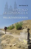 Felietony i reportaże - Santiago de Compostela - miniaturka - grafika 1