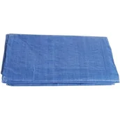 Folie budowlane - Plandeka TOPEX 79R356 (4 x 6 m) - miniaturka - grafika 1