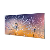 Dekoracje domu - Szklany panel Krople dmuchawiec makro 120x60 cm - miniaturka - grafika 1