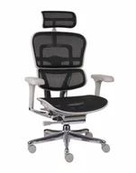 Fotele i krzesła biurowe - Fotel Ergohuman 2 Elite GS Black - miniaturka - grafika 1
