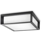 Lampy sufitowe - Philips 171849316 Skies 2x42W Plafon zewnętrzny antracytowy - miniaturka - grafika 1