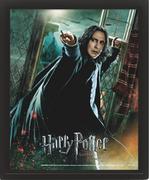 Plakaty - obraz w ramie 3D HARRY POTTER - DEATHLY HALLOWS SNAPE - miniaturka - grafika 1