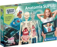 Mały naukowiec - Zestaw do eksperymentów naukowych Clementoni Super Anatomy (8005125192991) - miniaturka - grafika 1