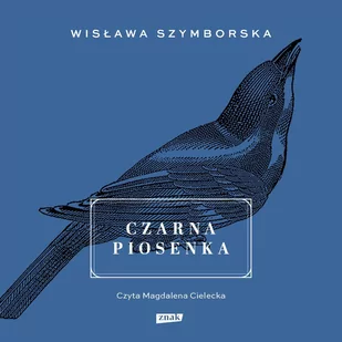 Czarna piosenka - Audiobooki - literatura piękna - miniaturka - grafika 1