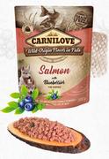 Mokra karma dla psów - Carnilove Dog Pouch Salmon&Blueberries for Puppies 300g - miniaturka - grafika 1