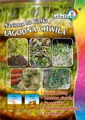 Nasiona i cebule - Nasiona na kiełki Łagodna Chwila mix 30g / L / - miniaturka - grafika 1