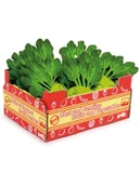 Zabawy w naśladowanie dorosłych - small foot Skrzynka z warzywami - 3+ - miniaturka - grafika 1