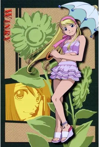 Plakat Fullmetal Alchemist fma_026 A3 (custom)