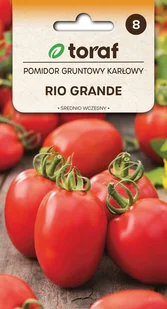 Pomidor gruntowy Rio Grande nasiona 0,5g / T / - Nasiona i cebule - miniaturka - grafika 1
