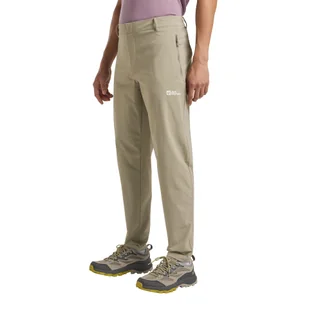 Męskie spodnie trekkingowe Jack Wolfskin HIKEOUT PANTS M stone - 48S - Odzież trekkingowa męska - miniaturka - grafika 1