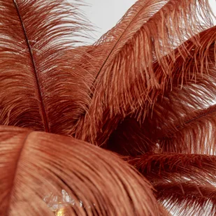 KARE Feather Palm lampa stojąca z piórami, rdza - Lampy stojące - miniaturka - grafika 2