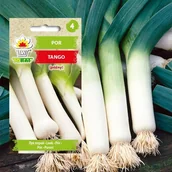 Nasiona i cebule - Por ALBOS (śr. wczesny) Allium porrum L. - miniaturka - grafika 1