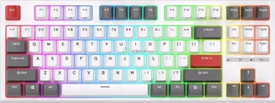 Royal Kludge RK R87 - HOTSWAP - WHITE 13586218293 - Klawiatury - miniaturka - grafika 1