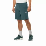 Spodenki męskie - Krótkie spodenki męskie Jack Wolfskin PRELIGHT SHORTS M emerald - S - miniaturka - grafika 1