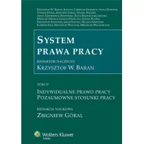 System prawa pracy Tom 4 - Krzysztof Baran, Zbigniew Góral - Prawo - miniaturka - grafika 1