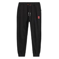 Spodnie sportowe męskie - Spodnie dresowe męskie DIADORA JOGGER PANT URBANITY - miniaturka - grafika 1