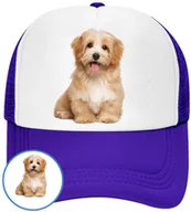 Czapki i chusty sportowe męskie - CZAPKA Z DASZKIEM PSY PIES PIESKI DLA DZIECI SIATKA NIEBIESKA BEJSBOLÓWKA - miniaturka - grafika 1