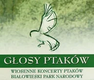 Muzyka relaksacyjna - Box: Głosy Ptaków Volume 1 - miniaturka - grafika 1