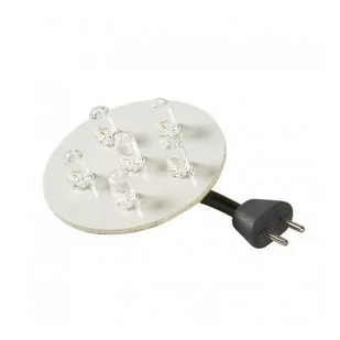 Garden Light Przezroczysta żarówka LED 1W Garden Light 1170101 1170101 - Żarówki LED - miniaturka - grafika 1