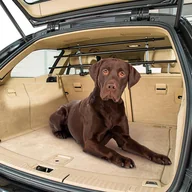 Transportery dla kotów - Ferplast 73200017 Dog Car Security - miniaturka - grafika 1